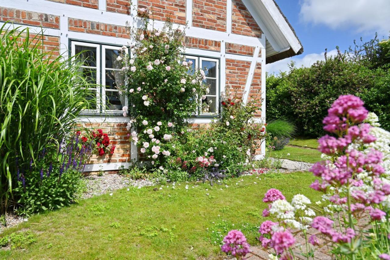Landhaus Vilmnitz - Wohnung 7 Bagian luar foto