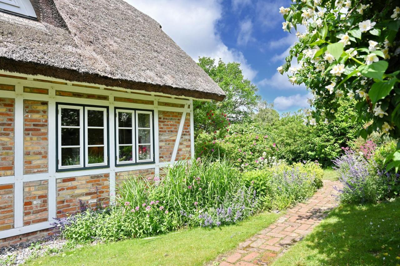 Landhaus Vilmnitz - Wohnung 7 Bagian luar foto