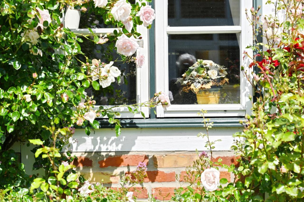 Landhaus Vilmnitz - Wohnung 7 Bagian luar foto